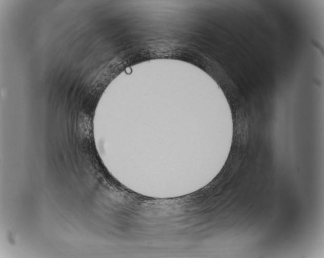 X0000103950025200810311600
