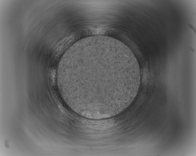 X0000103950026200810311600