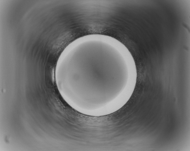 X0000103950027200810311600