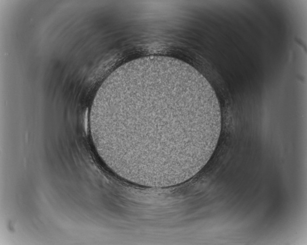 X0000103950028200810311600