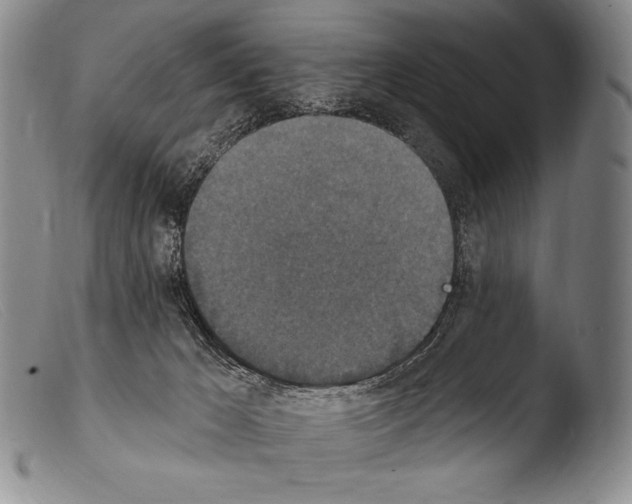 X0000103950029200810311600