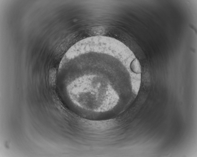 X0000103950030200810311600