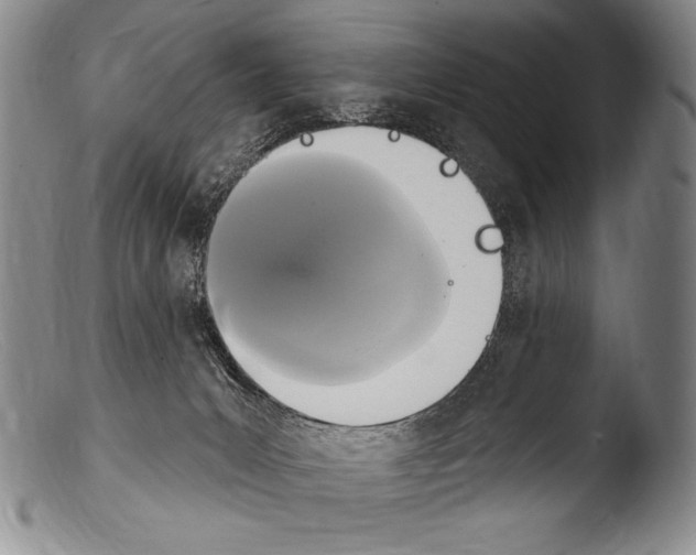 X0000103950031200810311600