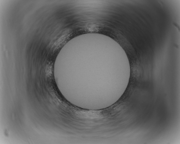 X0000103950032200810311600