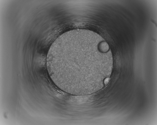 X0000103950033200810311600