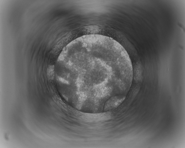 X0000103950034200810311600