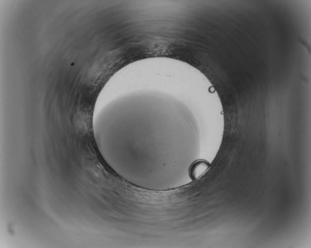 X0000103950035200810311600