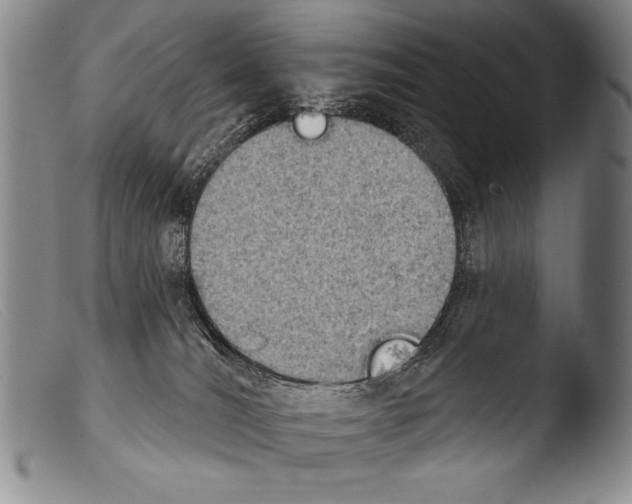 X0000103950036200810311600