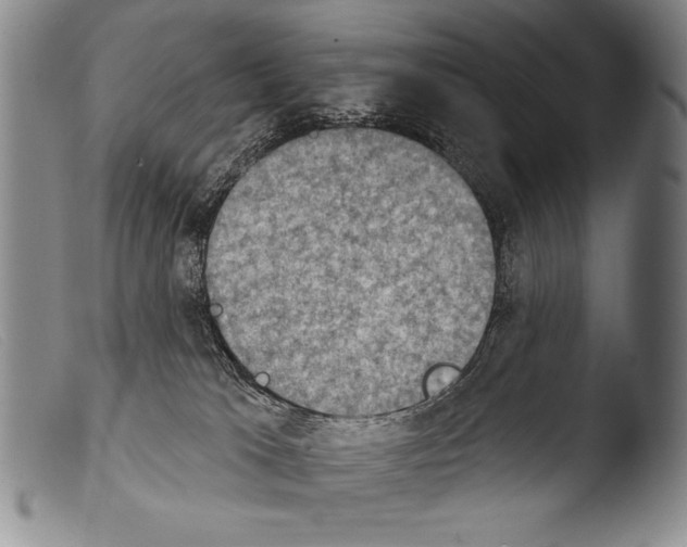 X0000103950037200810311600