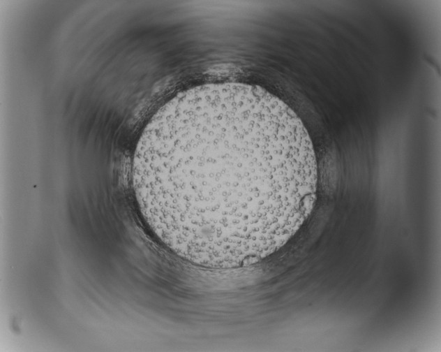 X0000103950038200810311600