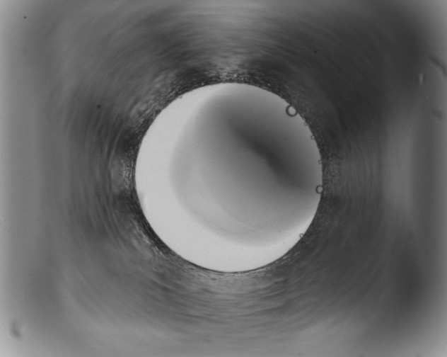X0000103950039200810311600