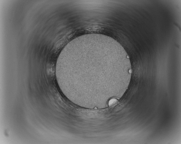 X0000103950040200810311600