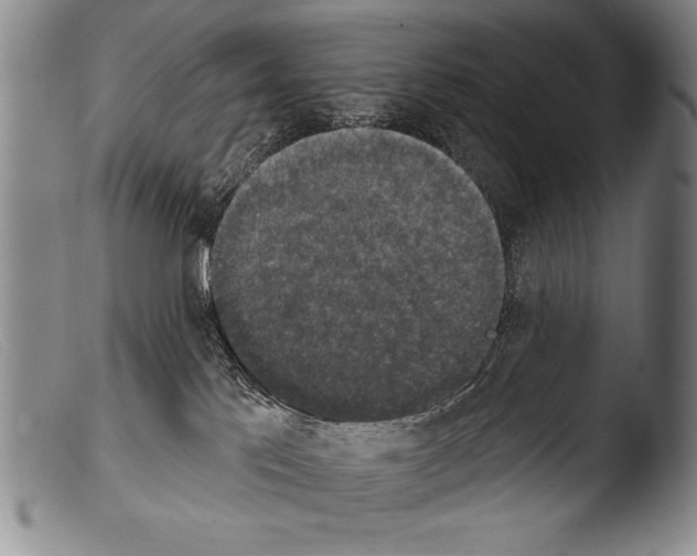 X0000103950041200810311600