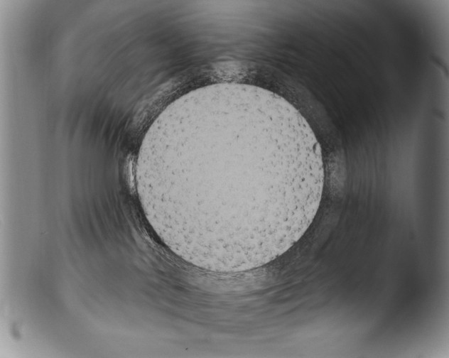 X0000103950042200810311600