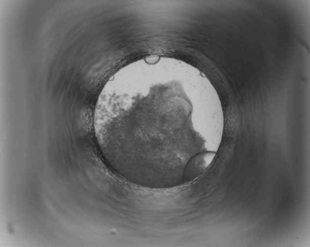 X0000103950043200810311600