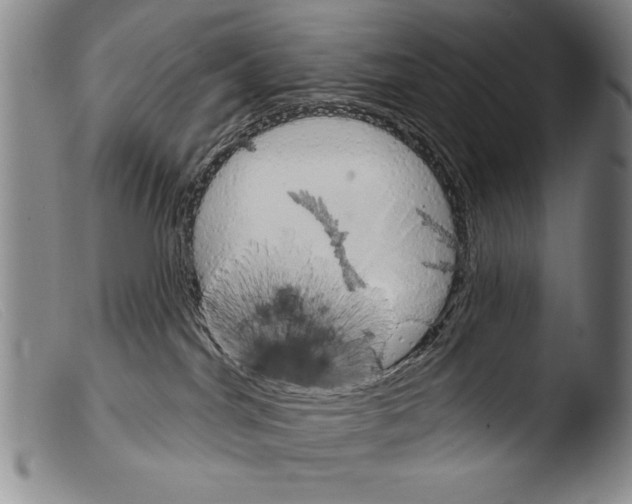 X0000103950044200810311600