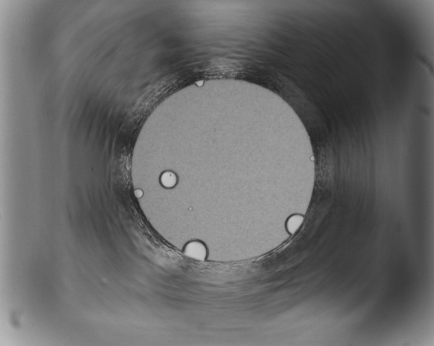 X0000103950045200810311600
