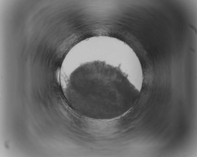 X0000103950047200810311600