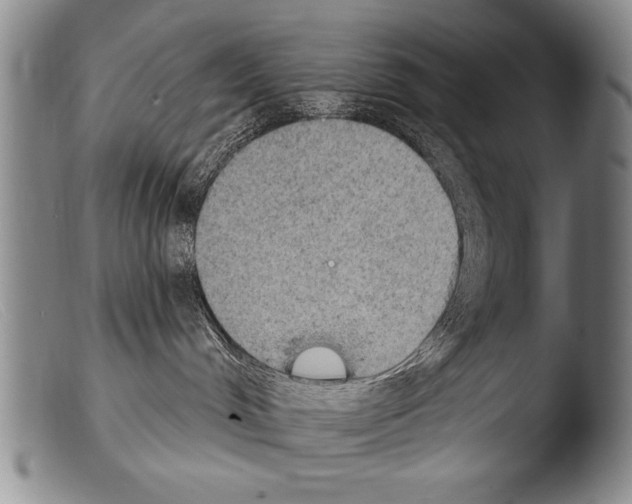 X0000103950048200810311600