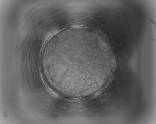 X0000103950049200810311559