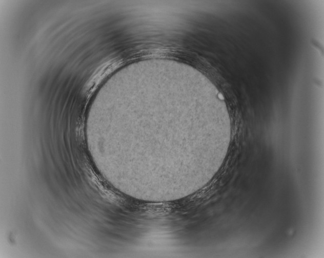 X0000103950050200810311559