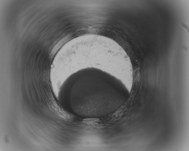 X0000103950051200810311559