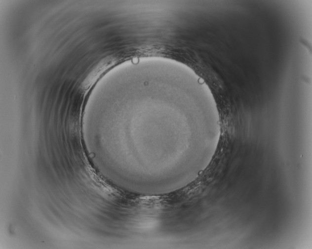 X0000103950052200810311559