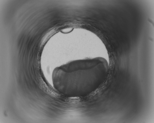 X0000103950053200810311559
