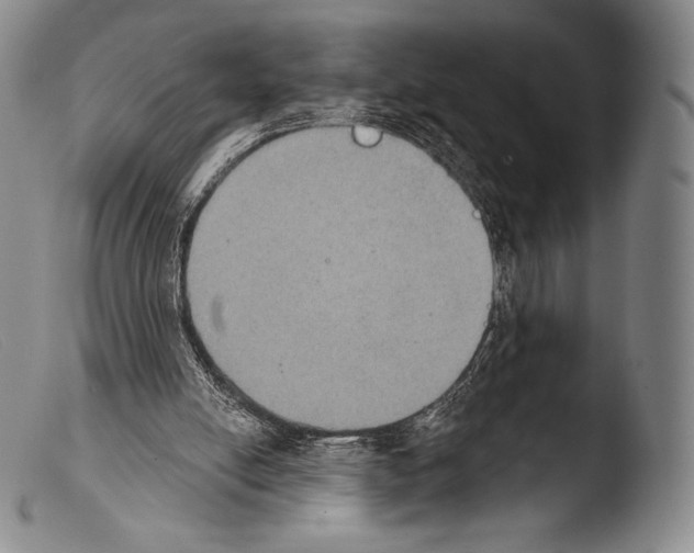 X0000103950054200810311559