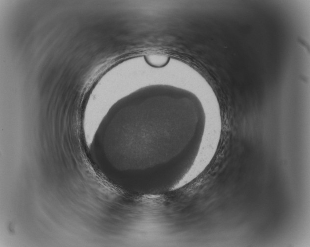 X0000103950055200810311559