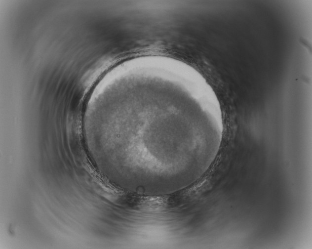 X0000103950056200810311559