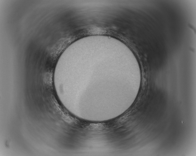 X0000103950057200810311559