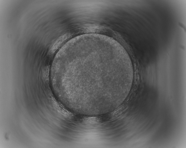 X0000103950058200810311559