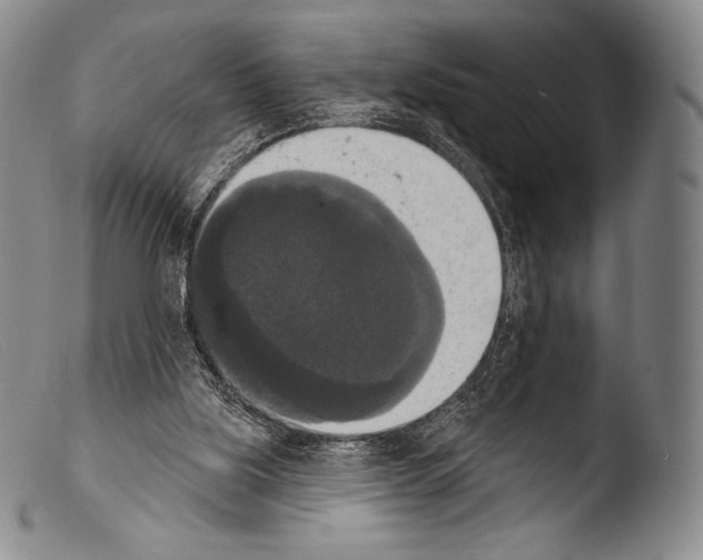 X0000103950059200810311559
