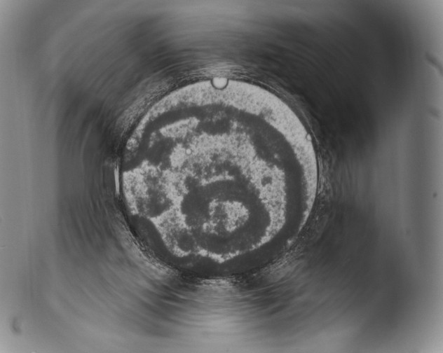 X0000103950061200810311559