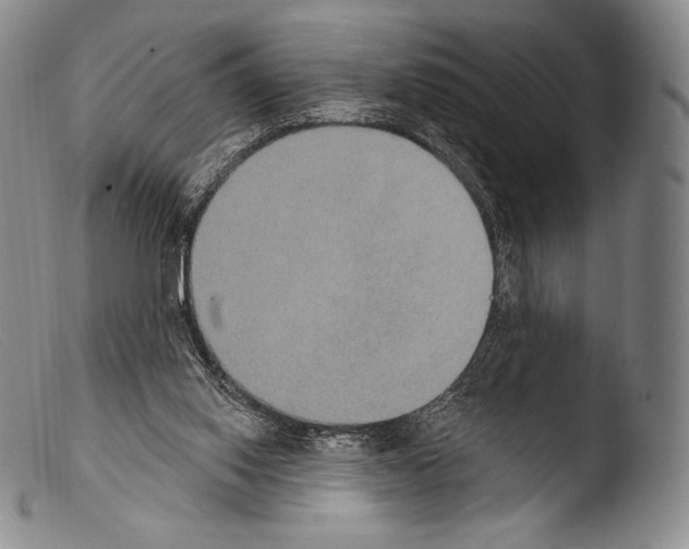 X0000103950062200810311559