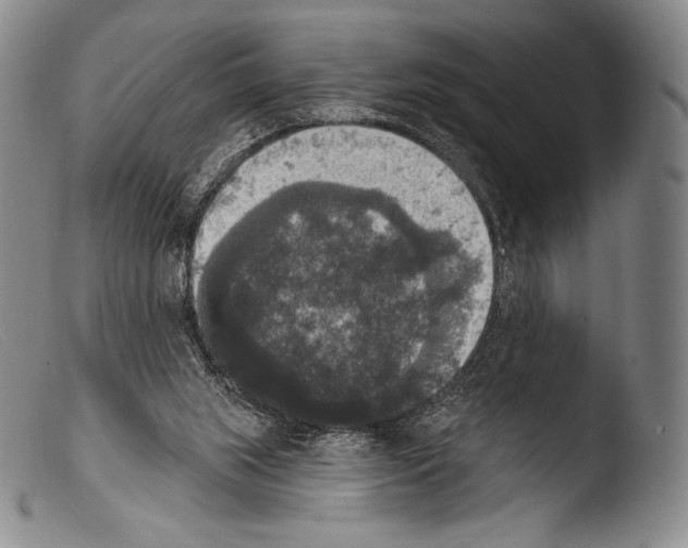 X0000103950063200810311559