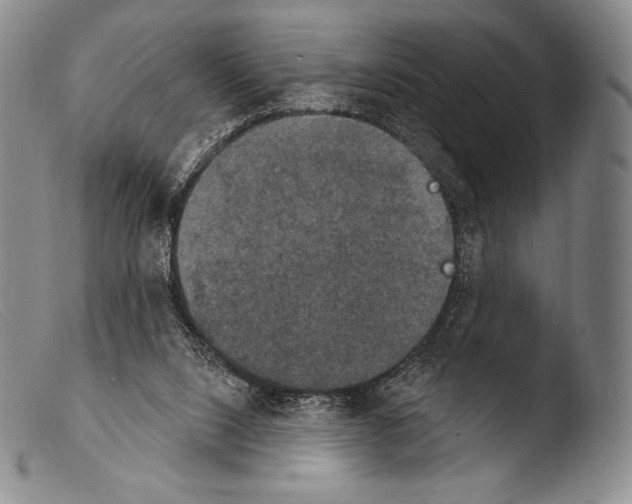 X0000103950064200810311559