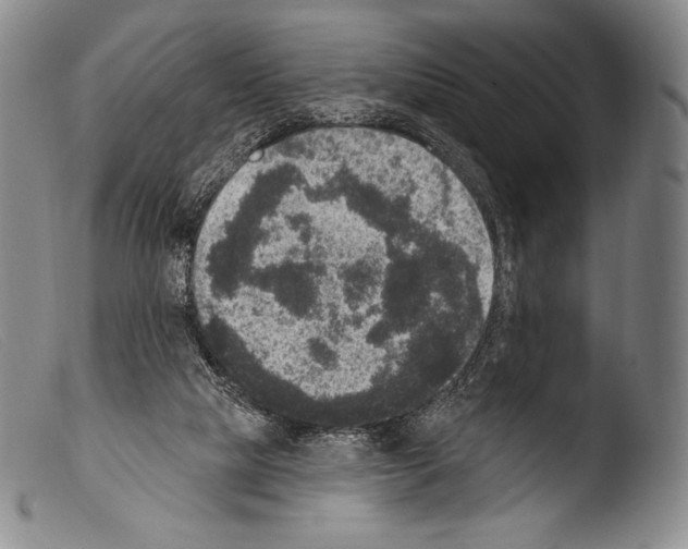 X0000103950065200810311559