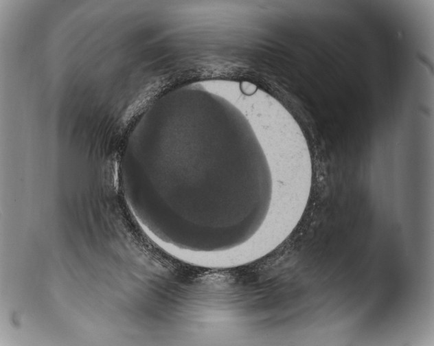 X0000103950067200810311559
