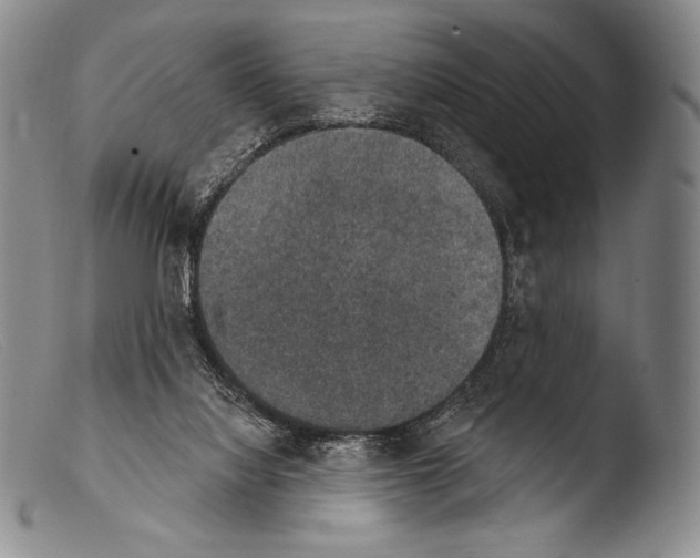 X0000103950068200810311600
