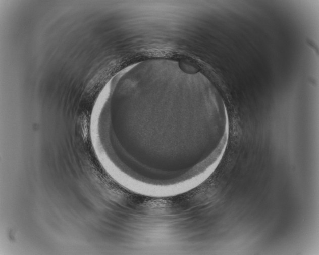 X0000103950069200810311600