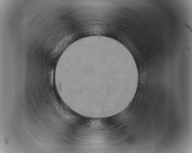 X0000103950070200810311600