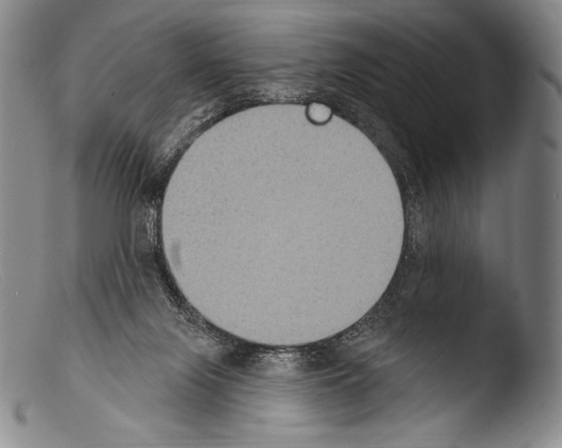 X0000103950071200810311600