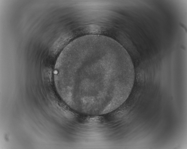 X0000103950072200810311600