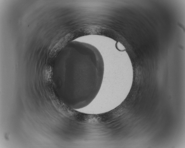 X0000103950073200810311600