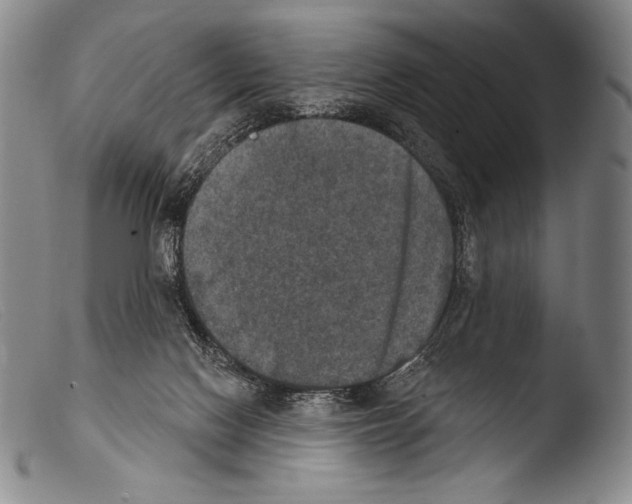 X0000103950074200810311600