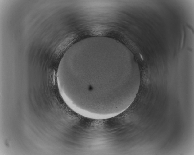 X0000103950076200810311600