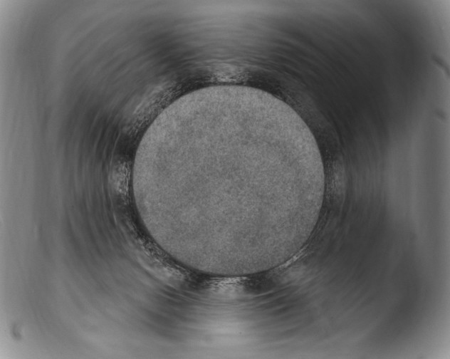 X0000103950078200810311600