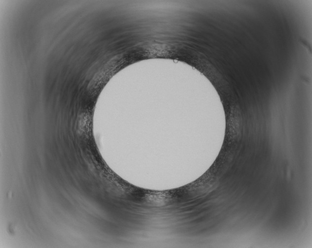 X0000103950079200810311600